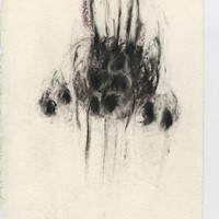 40  Fusain, pastel sur papier, 38x30cm, MX 1997